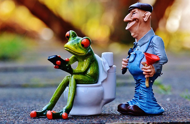 plumbers in Clairemont