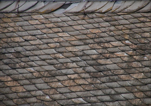 Storm Recovery Essentials: A Guide to Roof Shingle Repairs and Structural Assessment