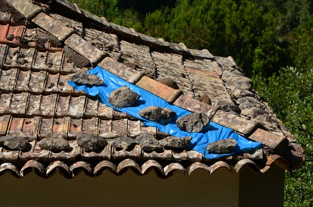 Chimney and Skylight Flashing Maintenance: Roofers’ Guide to Waterproofing Your Home