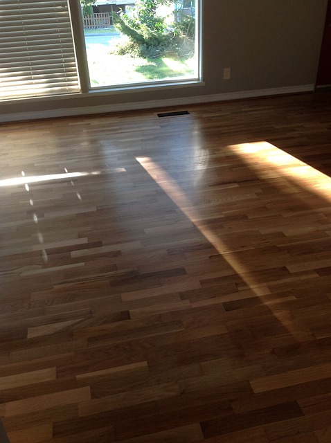 Upgrade Your Allen Home with Cost-Effective & Stylish Floors from Top Local Experts!