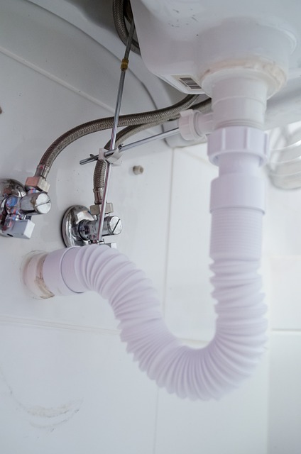 Diagnosing Plumbing Problems: When to Call a Professional Plumber