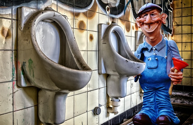 Eco-Friendly Plumbing Solutions in Clairemont: A Green Revolution with Plumbers