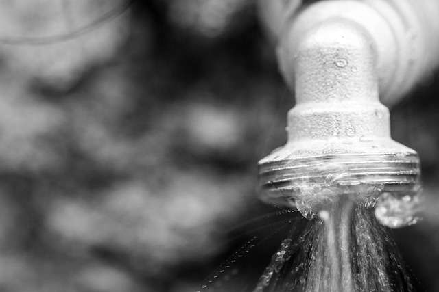 Plumbing Camp Hill: Unlocking Free Estimates for Peace of Mind