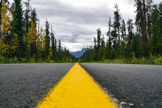 asphalt contractors