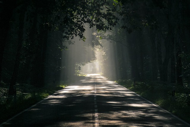 asphalt contractors