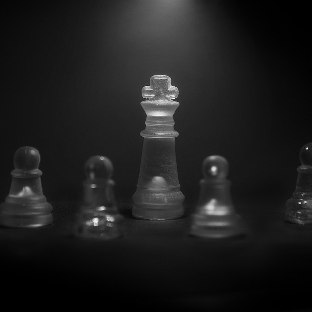 Maximizing Your Pawn Jewelry Loans in Tampa: Understanding Values & Trends