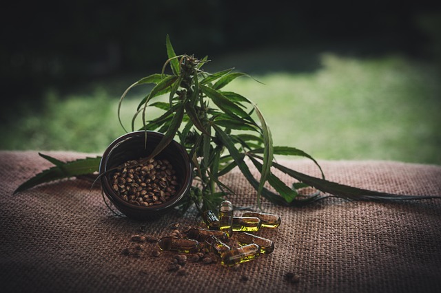 cbd extracts for sale