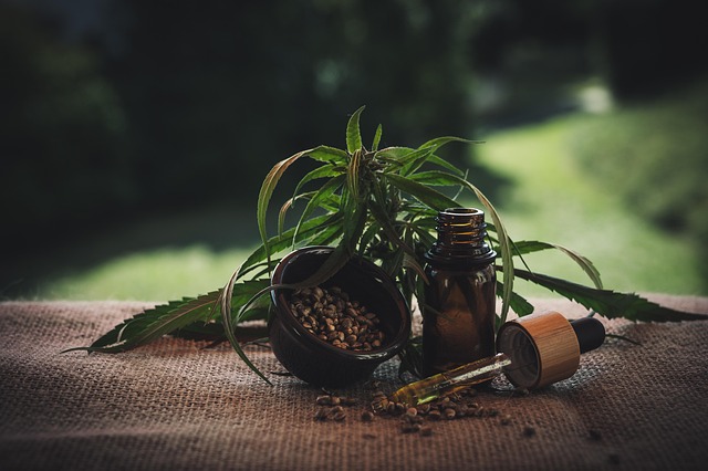 cbd mushrooms for sale