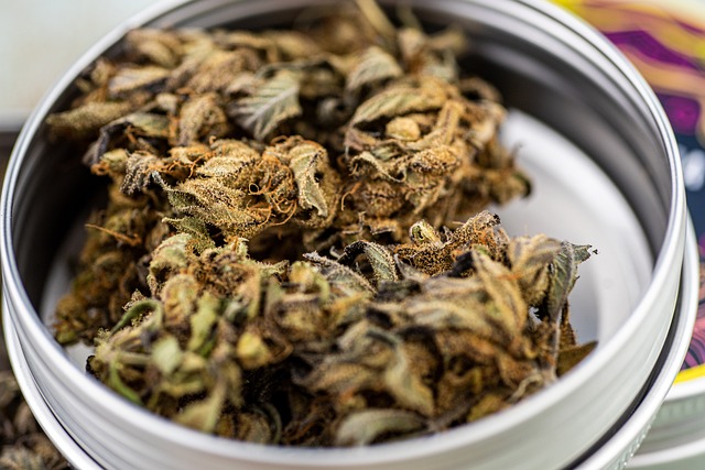 CBD vs THC Vapes: Unveiling Key Differences and Benefits