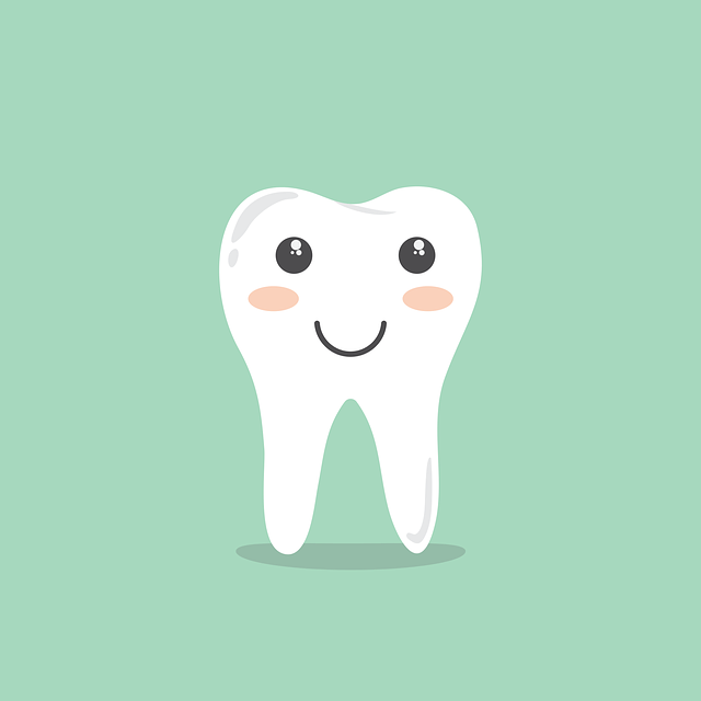 Transform Your Smile: Baton Rouge’s Top Cosmetic Dental Care